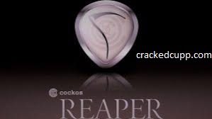 REAPER 6.62 (64-bit) Crack