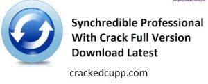 Synchredible Professional Crack 