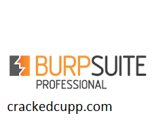 Burp Suite Pro Crack 